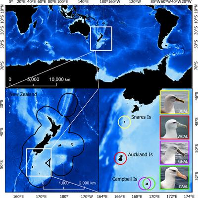 Data Quality Influences the Predicted Distribution and Habitat of Four Southern-Hemisphere Albatross Species